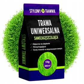    Ziergras, Grasmischung, für trockene Bereiche, für schattige Bereiche, Garten, Sport Stylowy Trawnik 1000 m² 25 kg