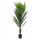 Künstliche Blumen und Früchte Künstliche Pflanze TROPICAL ZONE Palme 150 m HOMLA