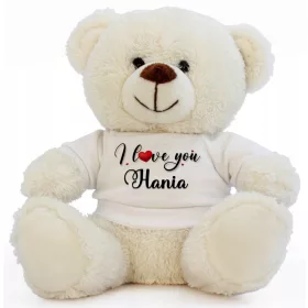    Ein Teddybär im T-Shirt mit der Aufschrift „Valentinstagsgeschenk“.