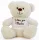  Ein Teddybär im T-Shirt mit der Aufschrift „Valentinstagsgeschenk“.
