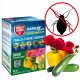 Sanium System - Effektives Insektizid für Garten und Haus, 50ml