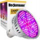 Lampe für den Pflanzenanbau - Heckermann 80 W GROW Glühbirne für den Pflanzenanbau