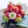  Walderdbeeren und Erdbeeren ERDBEER WIEDERHOLTE FRÜCHTUNG 10 STÜCK SAMEN wurzelnackter Sämling 15-30 cm