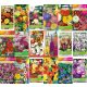  BLUMENSAMEN-SAMMLUNGSset, Samen, 10 Packungen