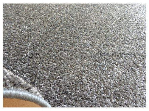 Teppiche Fortero Hochflorteppich 300 x 200 cm
