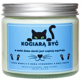    Kerze TO BE A CAT PARTY, ein lustiges GESCHENK zum GEBURTSTAG der Freundin eines Freundes