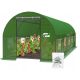 Folientunnel, Kunststoffplatten Folientunnel 24 m² 800 x 300 cm grün