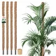  4X PFLANZENSTÜTZE 100 CM POLE BATTLE KOKOSNUSSFASER 2,5 POLE STRING