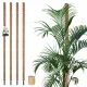  4X PFLANZENSTÜTZE 180 CM POLE BATTLE COCONUT FIBER 3.2 STICK STRING