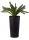  HowHomely Blumentopf 57 cm x 29,5 x 57 cm Durchmesser 30 cm Kunststoff schwarz