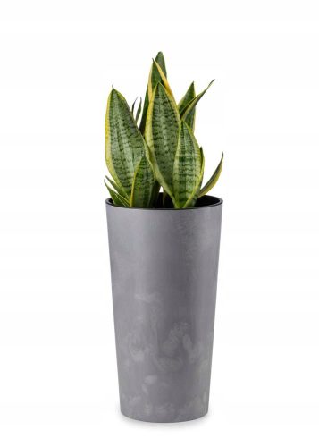  Blumentopf 46,6 x 25,5 cm, grauer Kunststoff