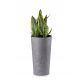  Blumentopf 46,6 x 25,5 cm, grauer Kunststoff