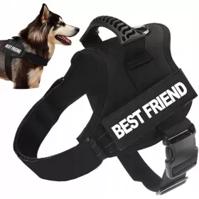  STARKES, DRUCKFREIES HUNDEGESCHIRR M 50-62 + GRAVUR