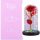 Blumen und Blumenkästen zum Valentinstag Norimpex ewige Rose 20 cm