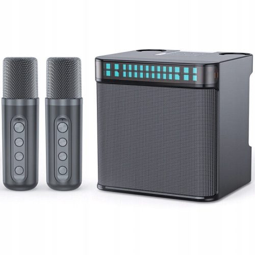  DRAHTLOSES KARAOKE-MIKROFON-LAUTSPRECHER-BLUETOOTH-SOUNDSYSTEM
