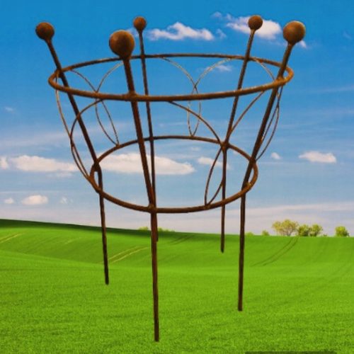  Stütze für Pflanzen, Büsche, Pfingstrosen, Hortensien, Stützen, Durchmesser. 50 hoch 60 cm Metall