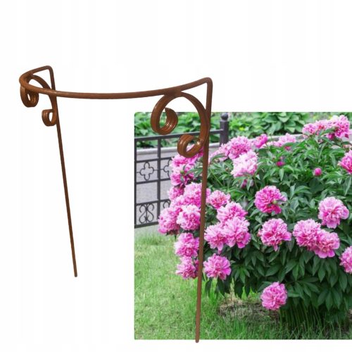  Stilvolle Stütze für Pflanzen, Büsche, Blumen, PERGOLA, poliert, massiv, 30/50, 1 Stk.