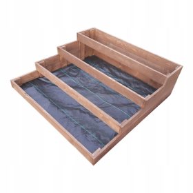  Mini-Gewächshaus 124 cm x 120 cm aus Holz