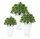  Prosperplast Blumentopf 19,5 cm x 19,5 x 37,5 cm Durchmesser 19,5 cm Kunststoff weiß + 2 weitere Produkte