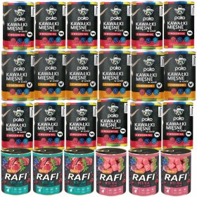  DOLINA NOTECI RAFI JUNIOR PSA GESCHMACKSMIX 24x400g