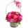 SCHÖNER großer Blumenstraußkorb mit Seifenrosen, 50 Stück Seifenblumen als GESCHENK