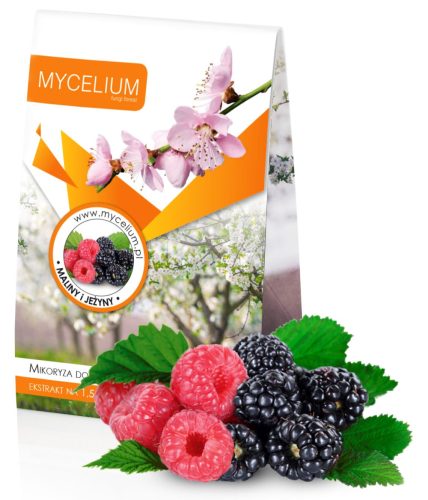  Mykorrhiza-HIMBEER- UND BROMBEER-Myzel