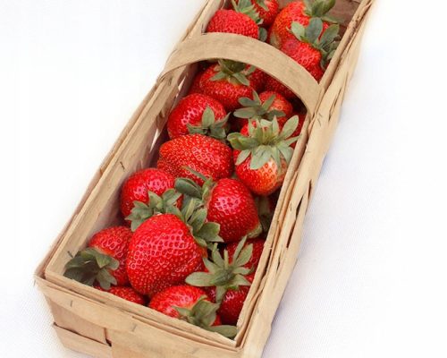  Elsanta - Grandarosa - Florenz Walderdbeeren und Erdbeeren, wurzelnackter Sämling 10-25 cm