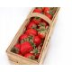 Elsanta - Grandarosa - Florenz Walderdbeeren und Erdbeeren, wurzelnackter Sämling 10-25 cm