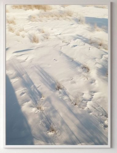 Prints ohne & mit Rahmen. Poster Natur - Tundralandschaften, Pflanzen ohne Rahmen 70 x 100 cm
