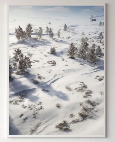 Prints ohne & mit Rahmen. Poster Natur - Winterliche Wildnislandschaften, Pflanzen ohne Rahmen 70 x 100 cm