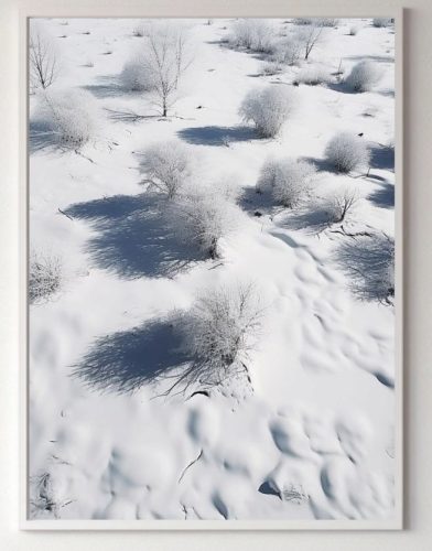 Prints ohne & mit Rahmen. Poster Natur - Weiße Hainlandschaften, Pflanzen ohne Rahmen 70 x 100 cm