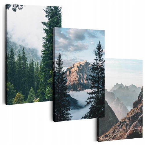Bilder an der Wand GEMÄLDE FÜR DAS WOHNZIMMER 150 cm **viele Motive* GEMÄLDE AUF LEINWAND TRIPTIQUES BERGE OBEN