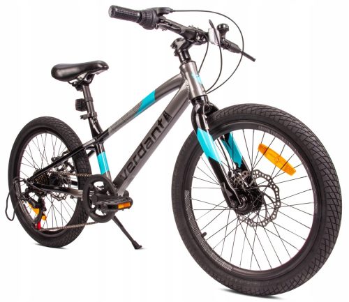  20 Zoll Kinder-Mountainbike MTB Shimano 6 Gänge Verdant Alder