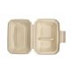 Einweggeschirr LunchBOX Lunchbox 24x17xcm EKO Zellstoff gratis SUP 200 Stk.