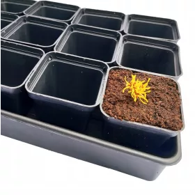    Zoigarden-Blumentopf 55,5 cm x 30,5 x 6 cm, schwarzer Kunststoff