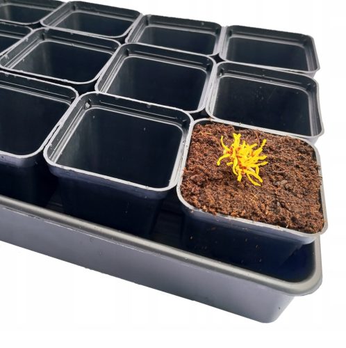  Zoigarden-Blumentopf 55,5 cm x 30,5 x 6 cm, schwarzer Kunststoff