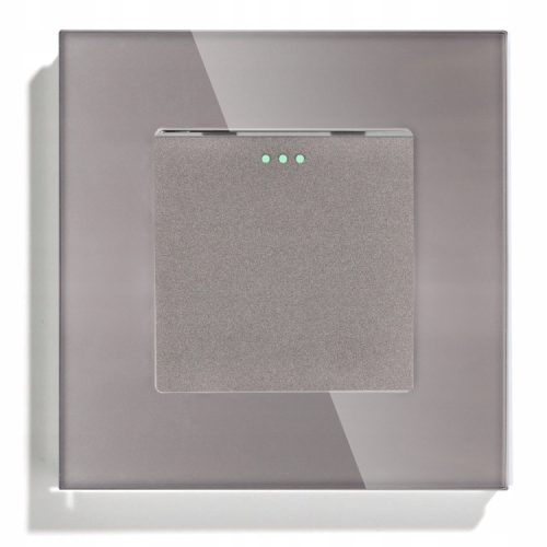 SCHALTER LICHTSCHALTER GLAS EINZELSCHALTER GRAU