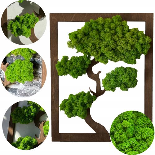 Bilder an der Wand MOOSBILD BONSAIBAUM MOOSBILD BAUM ZUM GESCHENK 30 X 22