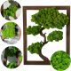 Bilder an der Wand MOOSBILD BONSAIBAUM MOOSBILD BAUM ZUM GESCHENK 30 X 22