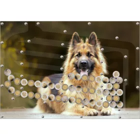    Extrem cooles Sparschwein 5 PLN mit automatischer Auszahlung. Bilder von Tieren, Hunden, Katzen, Pferden