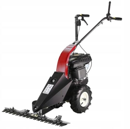  Benzin-Rasenmäher ohne Korb Favorit 196 cm³ Fassungsvermögen. Korb 0 l (dm³) l, Schnittbreite 87 cm
