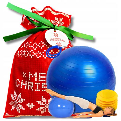  FITNESS-GYMBALL 65CM MIT PUMPE