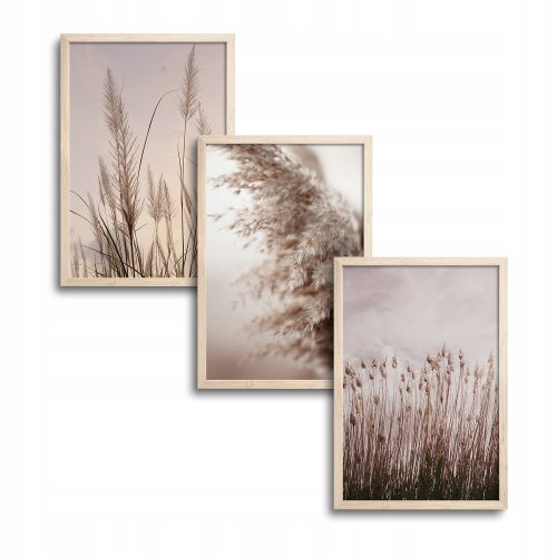 Bilder an der Wand 50 x 70 cm großes Set mit drei Gemälden und Postern in einem hölzernen Boho-Rahmen. Gras auf der Wiese