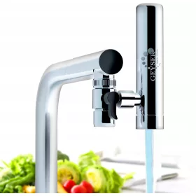  GEYSER Wasserfilter Euro 3000 l Filter