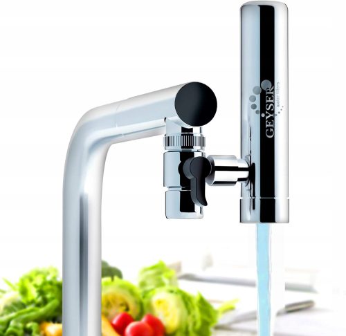  GEYSER Wasserfilter Euro 3000 l Filter