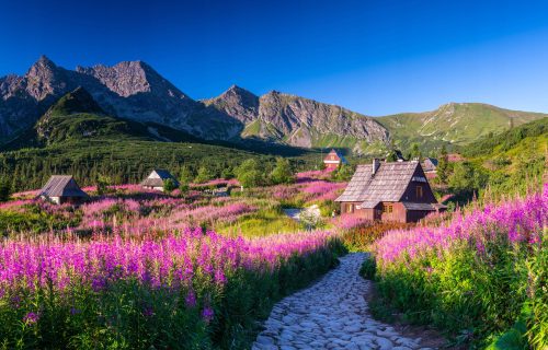 FOTOTAPETE FÜR DAS SCHLAFZIMMER, WOHNZIMMER, GASIENICOWA-SAAL TATRAS TAPETENWAND 390x254