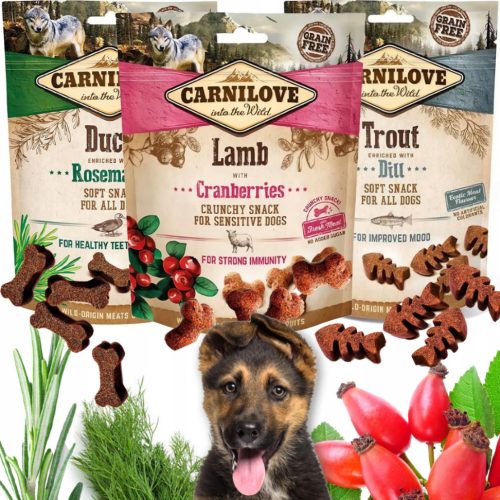  Carnilove Knuspriges Lammfleisch mit Cranberry-Leckerli für Hunde 200 g