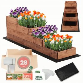  Mini-Gewächshaus 120 cm x 30 cm aus Holz