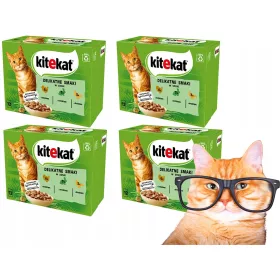  KITEKAT Delicate Smaki Beutel 12x85g
