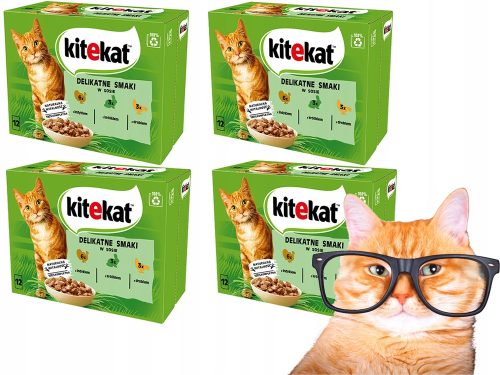  KITEKAT Delicate Smaki Beutel 12x85g